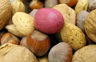 Close up of various types of nuts.
